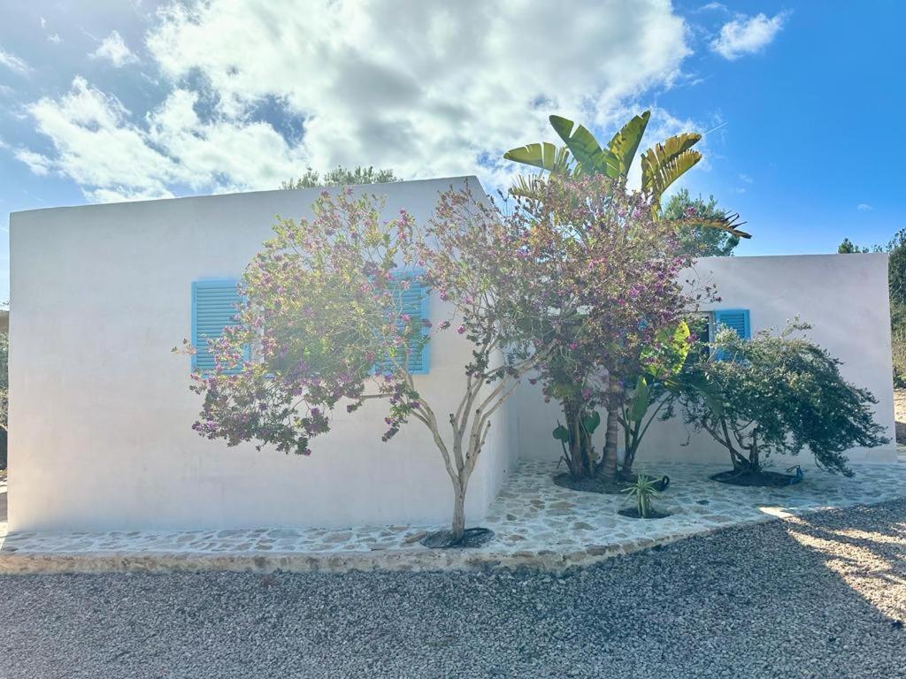Vila Casa Rustick San Francisco Javier Exteriér fotografie